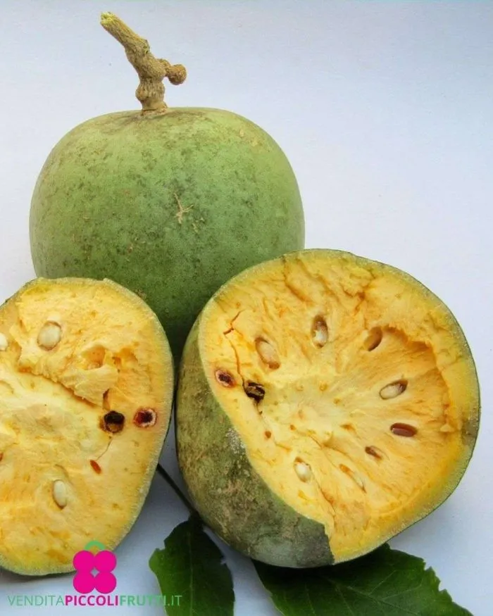 Beli Fruit - 250g
